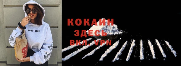 индика Протвино