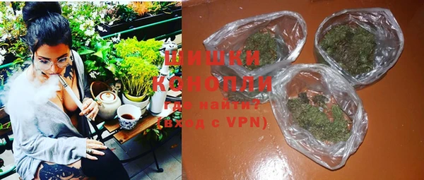 бошки Белокуриха