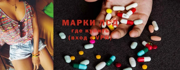 бошки Белокуриха