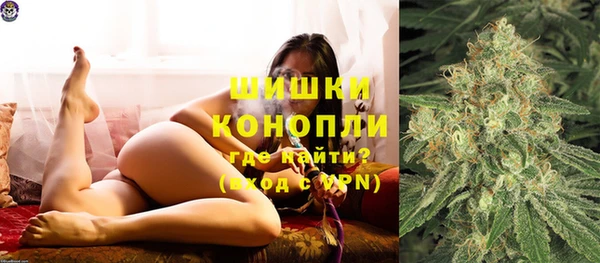 бошки Белокуриха