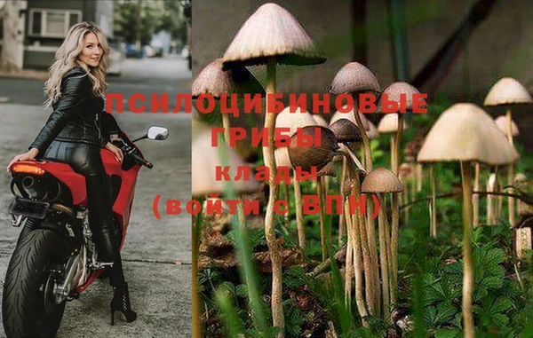 mdpv Белоозёрский
