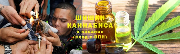 бошки Белокуриха