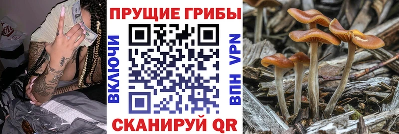 закладка  площадка Telegram  Галлюциногенные грибы ЛСД  Валуйки 
